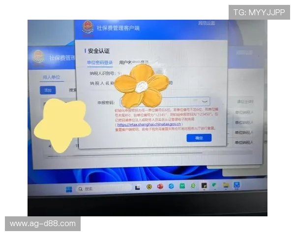 凯时平台登录客户端操作流程详解与常见问题解决方案